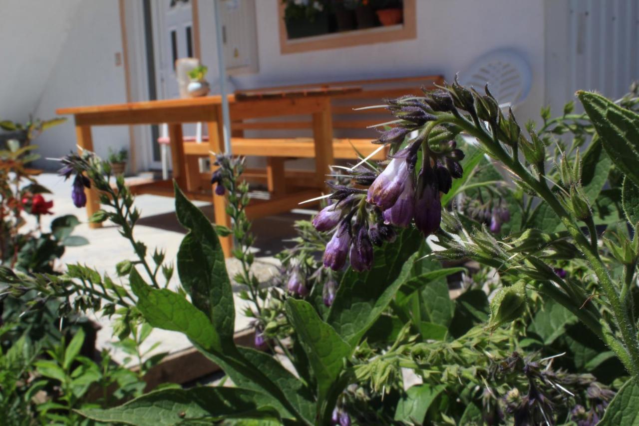 Apartment Mountain Dream Žabljak Eksteriør billede