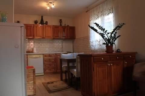 Apartment Mountain Dream Žabljak Eksteriør billede