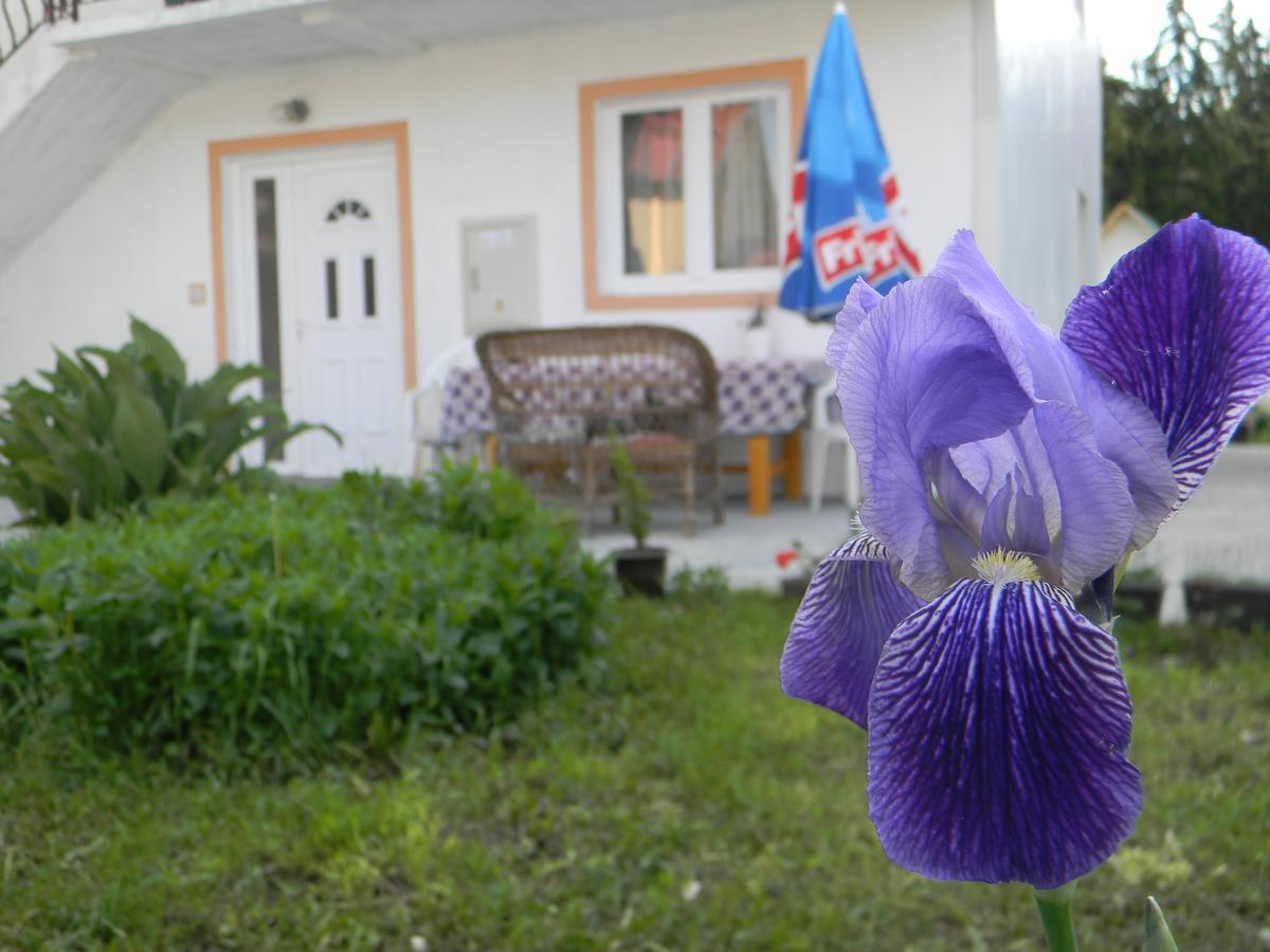 Apartment Mountain Dream Žabljak Eksteriør billede