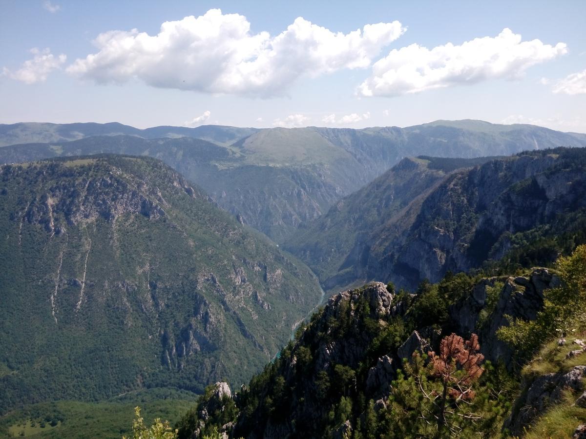 Apartment Mountain Dream Žabljak Eksteriør billede